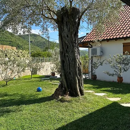 Villa Ramaj *